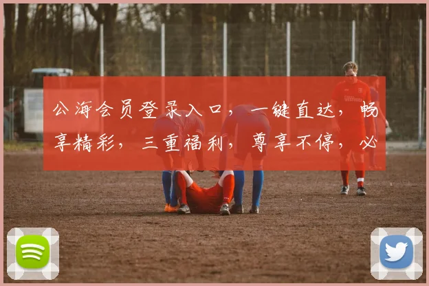 公海会员登录入口，一键直达，畅享精彩，三重福利，尊享不停，必看攻略