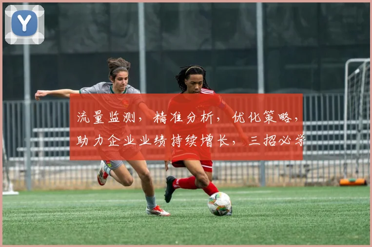 流量监测，精准分析，优化策略，助力企业业绩持续增长，三招必学