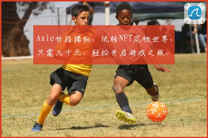 Axie价格揭秘，玩转NFT宠物世界，只需几千元，轻松开启游戏之旅，体验不一样