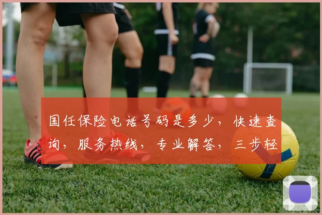 国任保险电话号码是多少，快速查询，服务热线，专业解答，三步轻松解决疑问，请记好